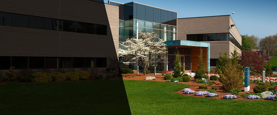 Spring Park Landscapers