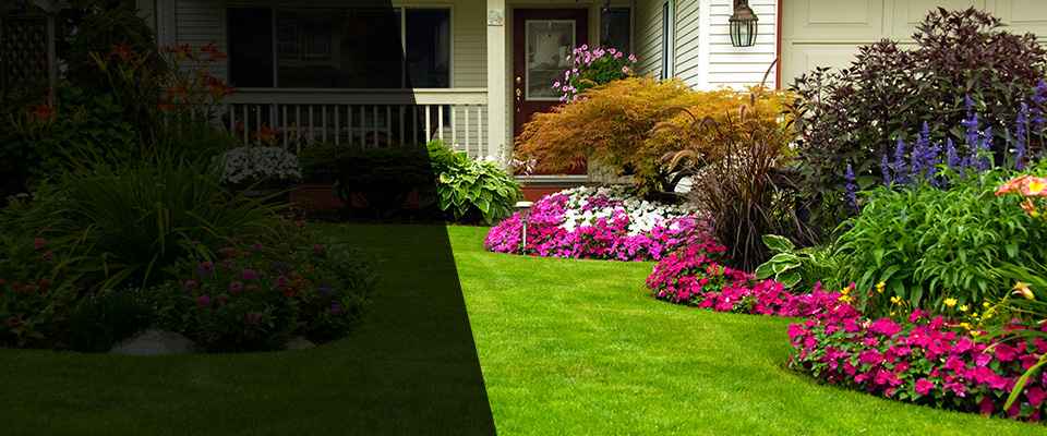 Spring Park Landscapers