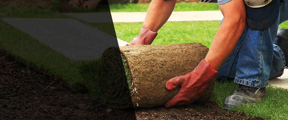 Spring Park Landscapers